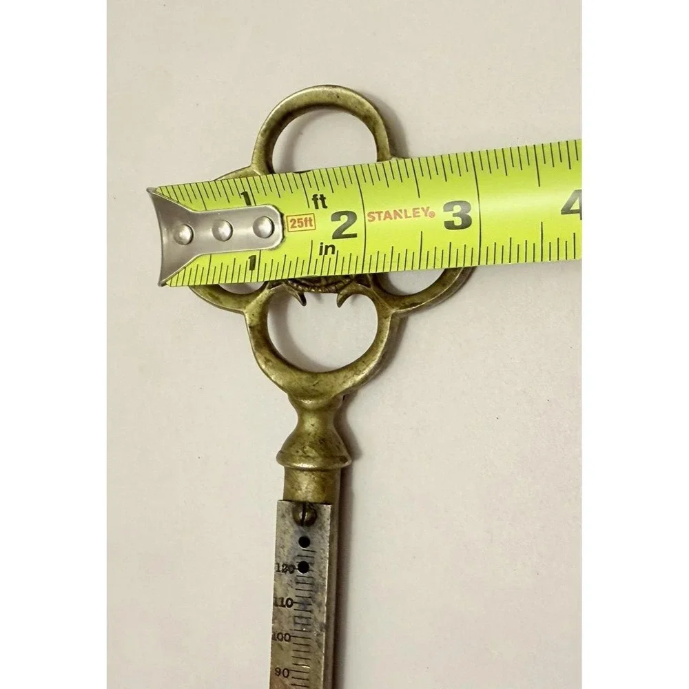Large Antique Skeleton Key Lion Horse Head Decor Victorian Castle Meal 8.5